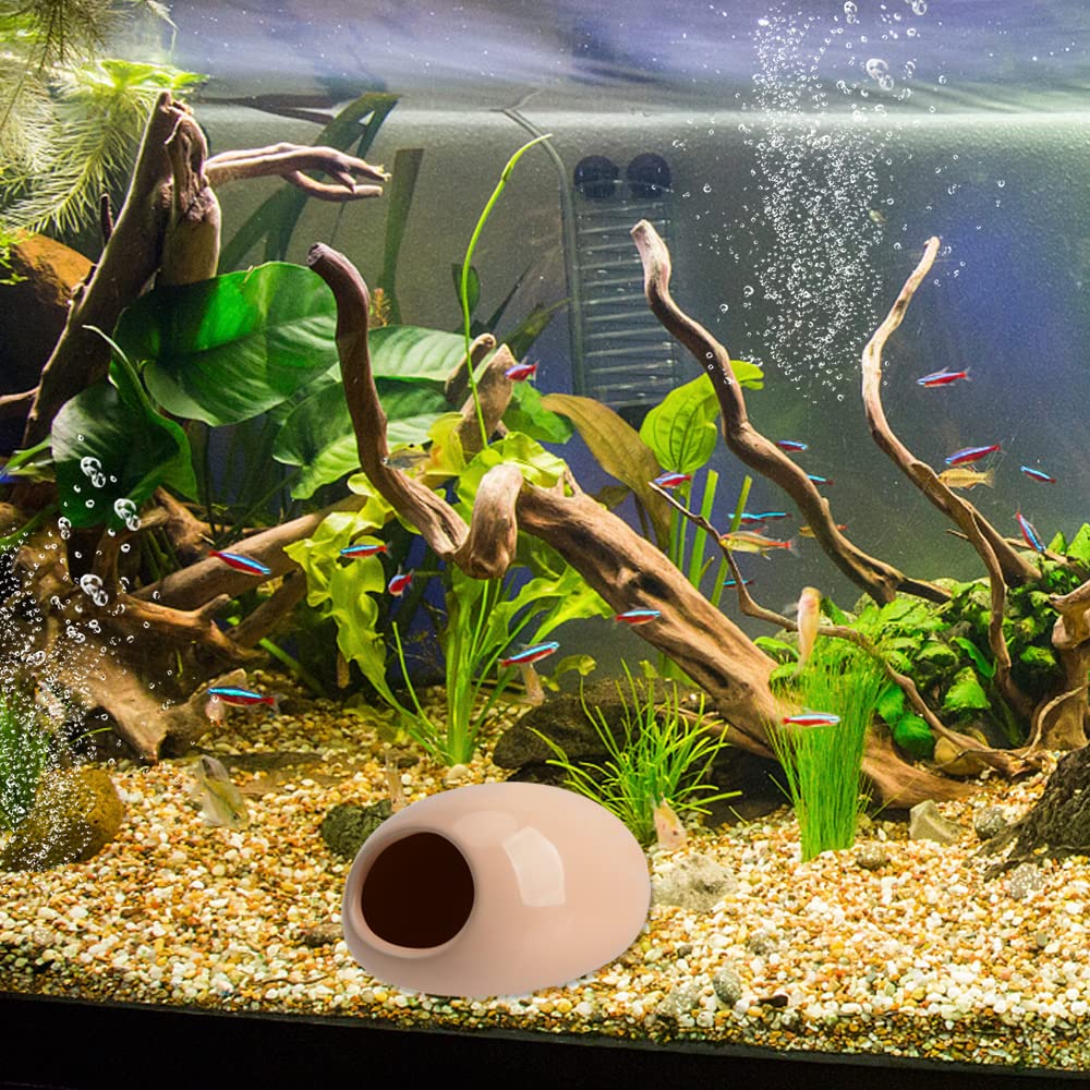 Cachette en céramique pour axolotl dans un aquarium aménagé