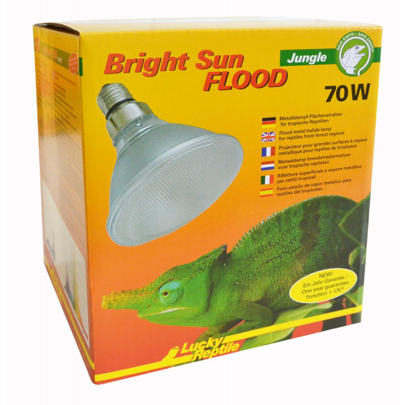 Lampe UV pour terrarium de reptile tropical